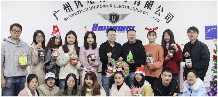 5000lm led bulb: Team of Unipower 02
